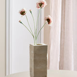 Opium Klaproos - Oudroze