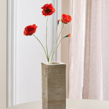 Opium Poppy - Oranje
