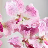 Luxe Vlinderorchidee "Real Touch" - Lichtroze
