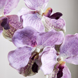 Luxe Vlinderorchidee "Real Touch" - Lavendel