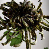 Grote Chrysant - Donkergroen
