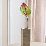 Grote Flamingo Anthurium - Groen