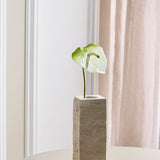 Luxe Anthurium "Real Touch" - Wit/Groen