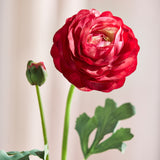 Luxe Ranunculus Bloem "Real Touch" - Rood