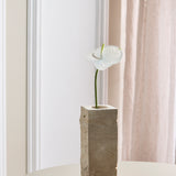 Anthurium - Helder Wit