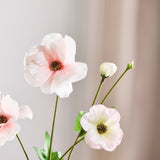 Butterfly Ranunculus - Lichtroze