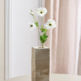 Butterfly Ranunculus - Wit