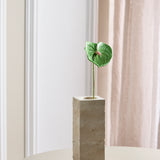 Kleine Anthurium Bloem - Donkergroen