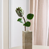 Protea - Groen