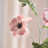 Anemoonbloem - Oudroze