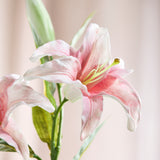 Lelie - Roze