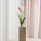 Monet Papegaaitulp - Roze