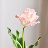 Monet Papegaaitulp - Roze