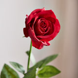 Luxury Large Rose Bouquet - Red