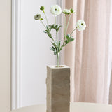 Ranonkel met 6 bloemen - Wit