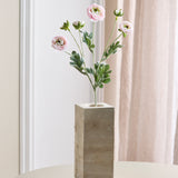 Ranonkel met 6 bloemen - Lichtroze