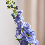 Delphinium Bloem - Paars