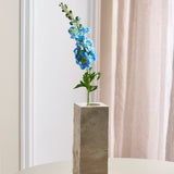 Delphinium Bloem - Blauw