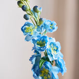 Delphinium Bloem - Blauw