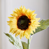Zonnebloem - Warm Geel