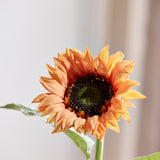 Zonnebloem - Gebrand Oranje