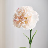Luxe Anjer "Real touch" - Champagne