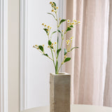 Kamille Margrietbloemen - Wit