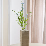 Salie - Blauw