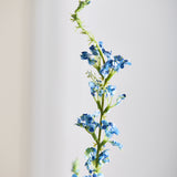 Salie - Blauw