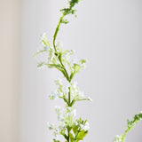 Salvia Bloem - Wit