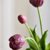 Luxe Tulpenboeket - Bordeaux