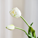 Luxe Tulpen Boeket – Wit