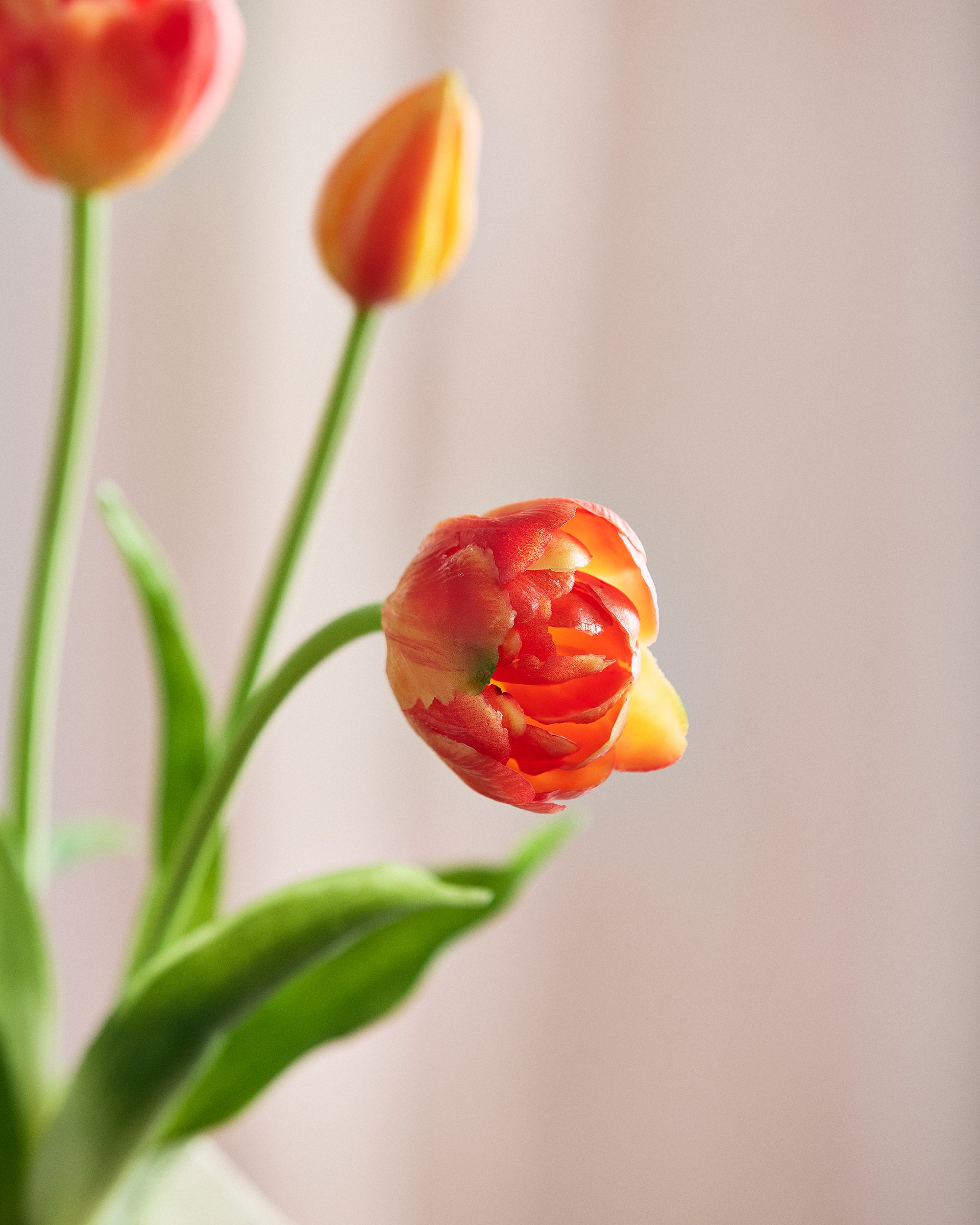 Mini Tulpenboeket - Oranje