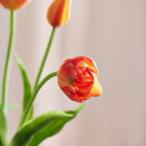 Luxe Tulpenboeket - Oranje