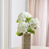 Volle Hortensia Bundel - Wit