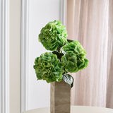 Vol Hortensia Boeket – Groen
