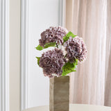 Volle Hortensia Bundel - Paars
