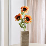 Grote Zonnebloem Mix - Gebrand Oranje