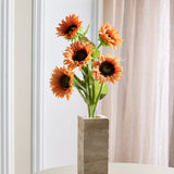 Grootse Zonnebloem Mix - Gebrand Oranje