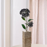 Enkele Skimmia Steel