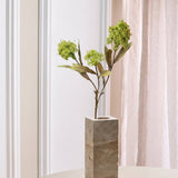 Skimmia Stem - Green