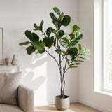 Vioolplant - 112*80*210cm