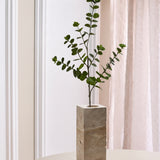 Eucalyptus Steel - Groen