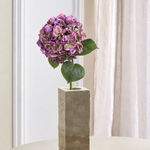 Luksus Hortensia - Lilla/Lysegrøn