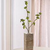 Eucalyptus Peulen Steel